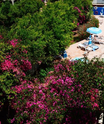 Residence Eucalipti - image 3