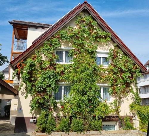 حديقة, Exotic Tropical Palace - ComfyHome Apartments Stuttgart in Degerloch