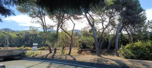 Au Romarin in Cavaillon