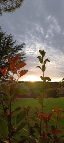 Au Romarin in Cavaillon