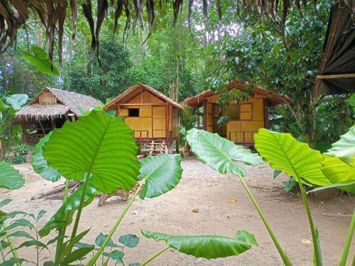 wassana camp Khai Jungle Experience in Khao Sok (Suratthani)