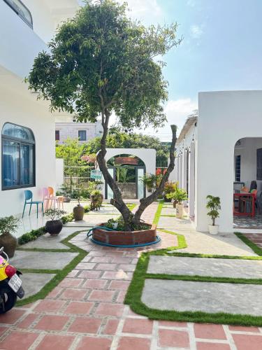 Phu Quy MYNO Homestay