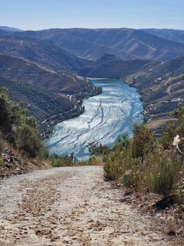 Malu in Vila Nova de Foz Coa