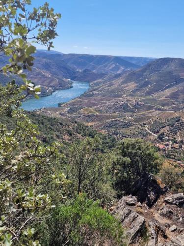 Malu in Vila Nova de Foz Coa