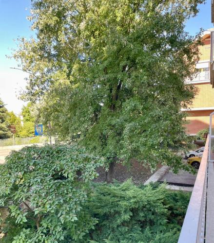 Il nido di Sonia in 阿斯蒂