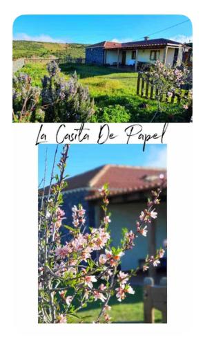 La Casita de Papel