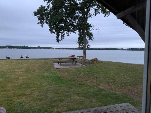 Alrededores, De Smidse in Haren