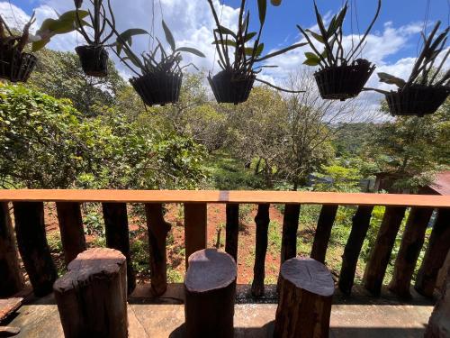 View, Bee Bee's Chalets in Banlung