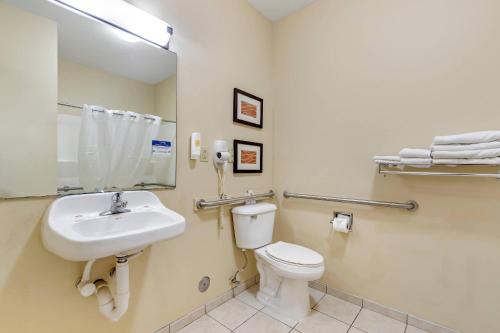 Comfort Inn & Suites East Moline near I-80 - image 6