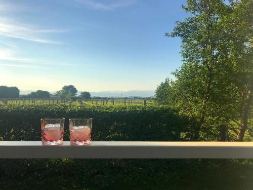 ทัศนียภาพ, Dara Vineyard Cottage in มาร์ตินโบรช์