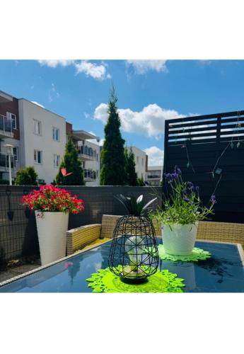 LUX Apartament in Suwalki