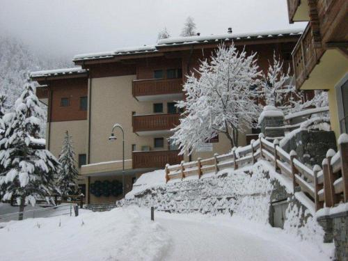 Apartment Balma 3 rooms near Gondelbahn, Zermatt (photo 6)