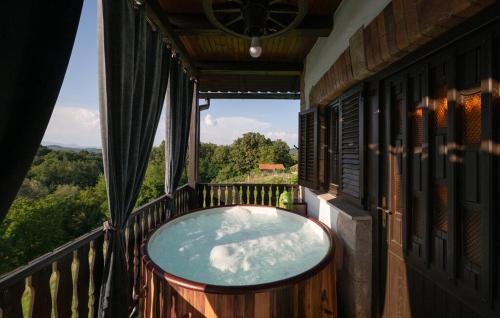 Vinogradarov san in 哥納亞斯圖貝卡