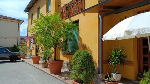 Albergo Le Rose in Pistoia