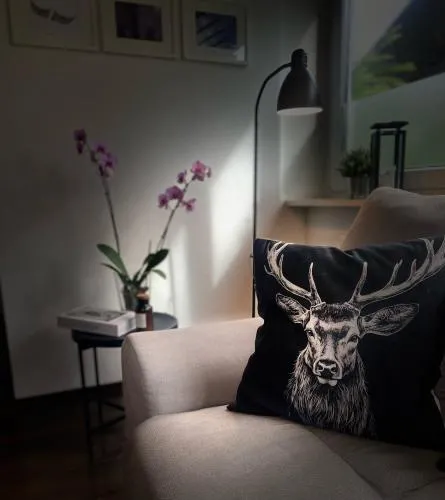 Ferienwohnung Hella in Kippenheim, Deutschland