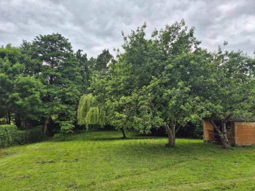 Bungalow Bliss in Carlow