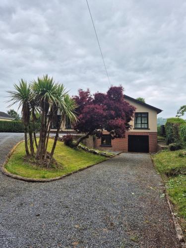 Unterkunft von außen, Bungalow Bliss in Carlow