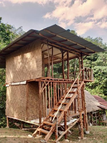 ORANGUTANTREKSUMATRA & LOVELY JUNGLE LODGE only book IF you are treking with us in Bukit Lawang