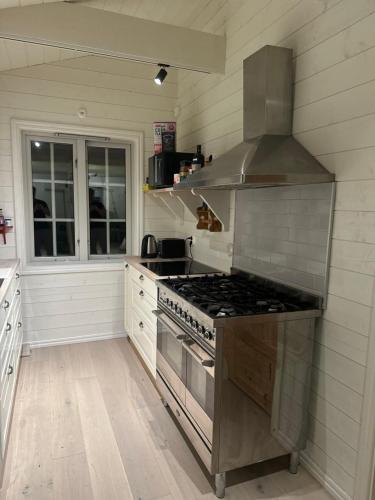 Aretrunt stuga med fiskebat in Stjärna