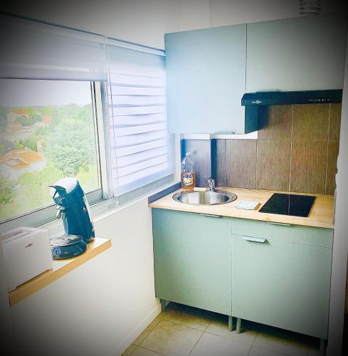 15G Bron centre hôpital Desgenette Vinatier - Location saisonnière - Bron