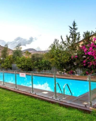 A Fun Holiday In The Galilee