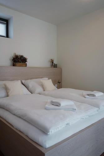 Apartmán Antýgl - ubytování s domácími mazlíčky (Apartman Antygl - ubytovani s domacimi mazlicky) in โมดราวา