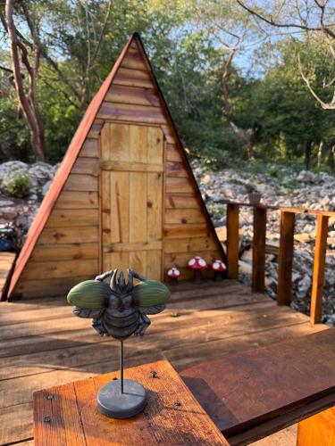 Glamping El Cielo Adventures in El Mante