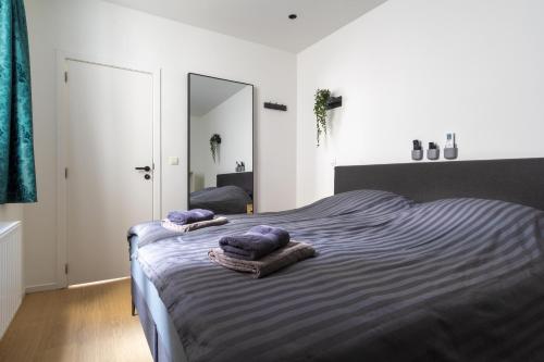 Modern Antwerp Getaway App - Heart d Anvers, Antverpy (fotografie 9)