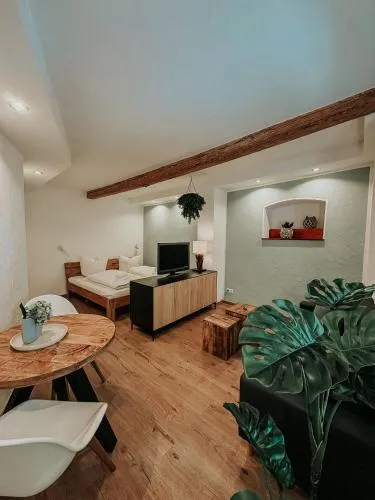 Wohnen in der Altstadt - Wohnungen und Studio in Gundelsheim, Deutschland