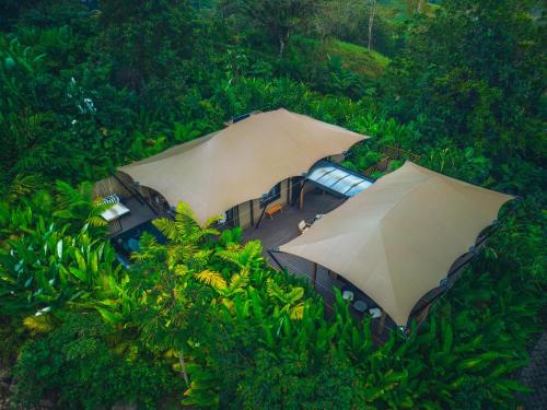 Nayara Tented Camp, Фортуна (фото 9)