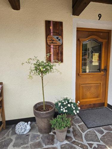 Haus Wiesenheim FW Ötztal