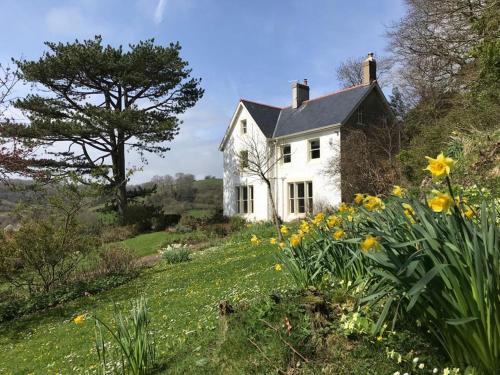 6 Bed in Branscombe oc-jbetco