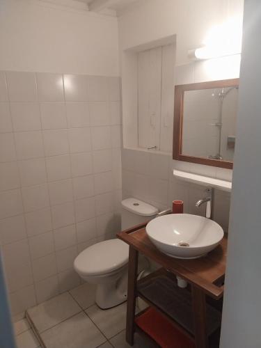 ALAMANDA le grand palm in Grand-Bourg