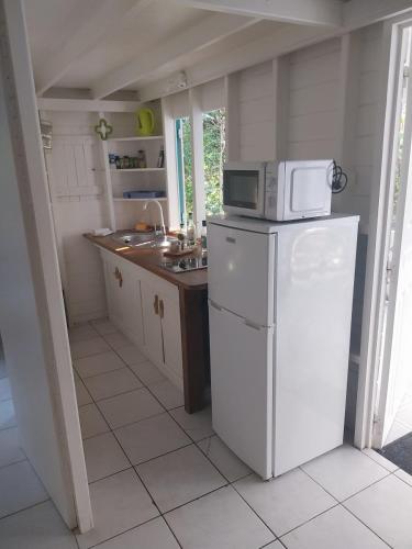 ALAMANDA le grand palm in Grand-Bourg