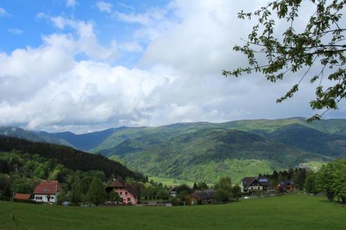 Les 4 Saisons Hotel de charme Ballon d'Alsace