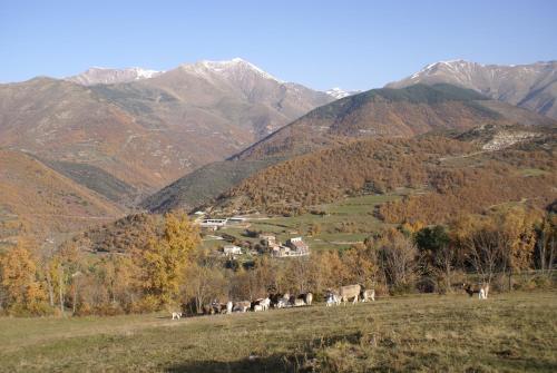  Casa Masover in Buira