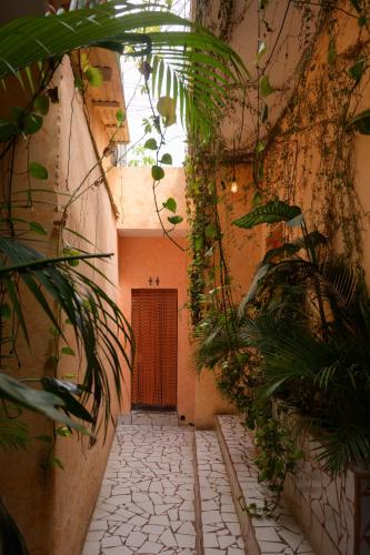 Macarena Hostel in Flores