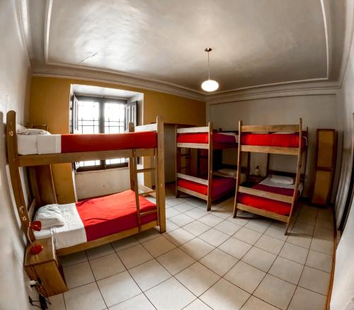 Flying Dog Hostel Arequipa - image 3