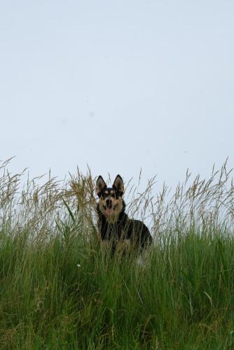 B&B Orto di Borghi in 法恩扎