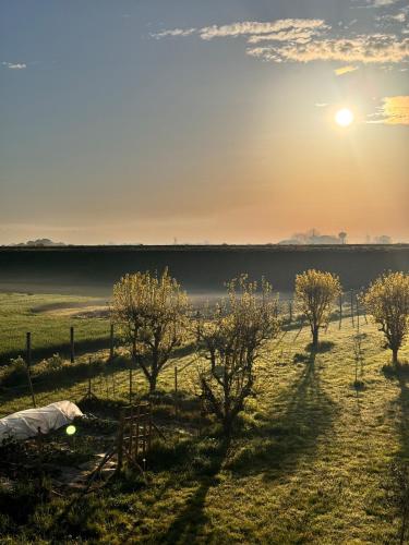 B&B Orto di Borghi in 法恩扎