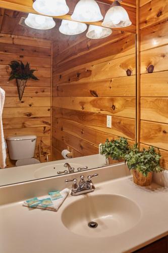Chalet D'Amour Holiday home - image 11
