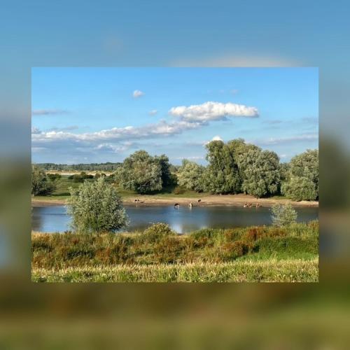 Bed & Breakfast Betuws Genieten in Tiel