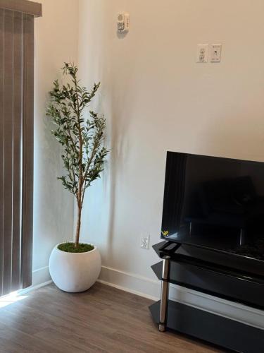 Modern 1-Bedroom Apartment in Downtown Baltimore in Sentrum
