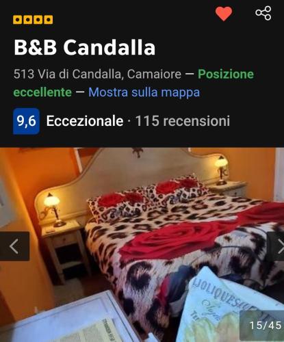 B&B Candalla, Camaiore (fotografie 4)