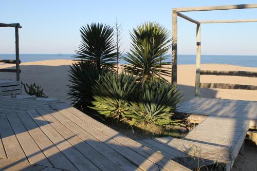 Arenas del Mar