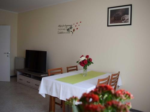 Iekārtas, Guesthouse Marko in Musalez