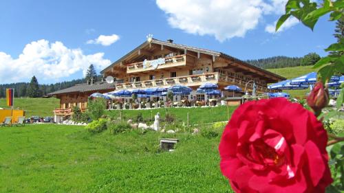 Winklmoos Sonnenalm - Hotel - Reit im Winkl