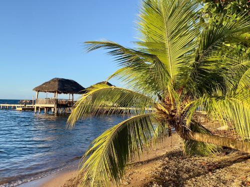 Lingkungan sekitar, Roatan Infinity Pool and Ocean View Apartment in Pulau Roatan