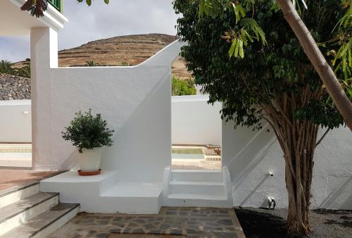 Timanfaya Casa Rural - image 13
