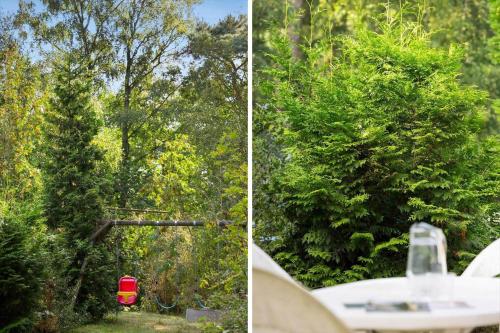 2715-Nexo-Munkegardsskoven-32 in Snogebaek